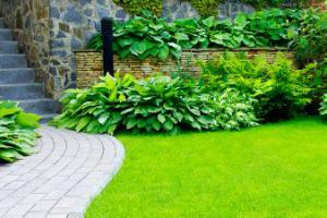 Nhà Kiểu Nông Thôn Hiện Đại
