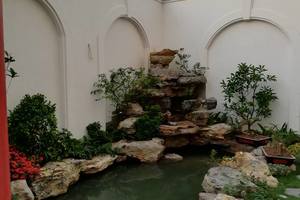 Thi công hồ Koi Biệt thự Bắc Ninh