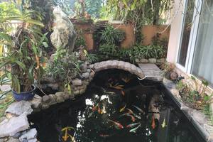 Thi công sân vườn biệt thự Palm Garden