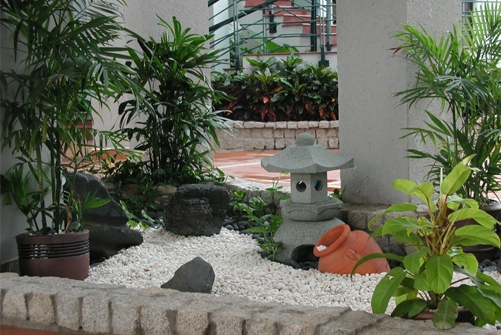 Lưu ý khi làm tiểu cảnh cho nhà phố