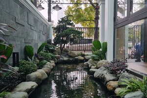 Thi công sân vườn hồ cá Koi biệt thự Vinhomes Ocean Park