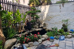 Hồ Koi biệt thự Đội Nhân