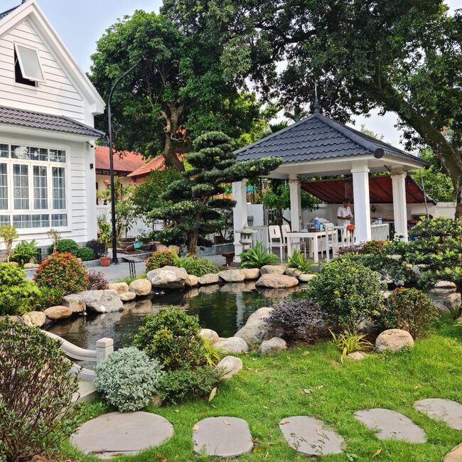Hình dáng hồ cá Koi phù hợp diện tích sân vườn