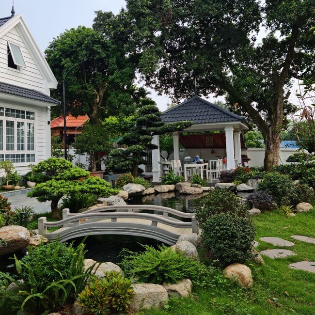 Thiết kế kích thước và độ sâu hồ Koi theo điều kiện công trình