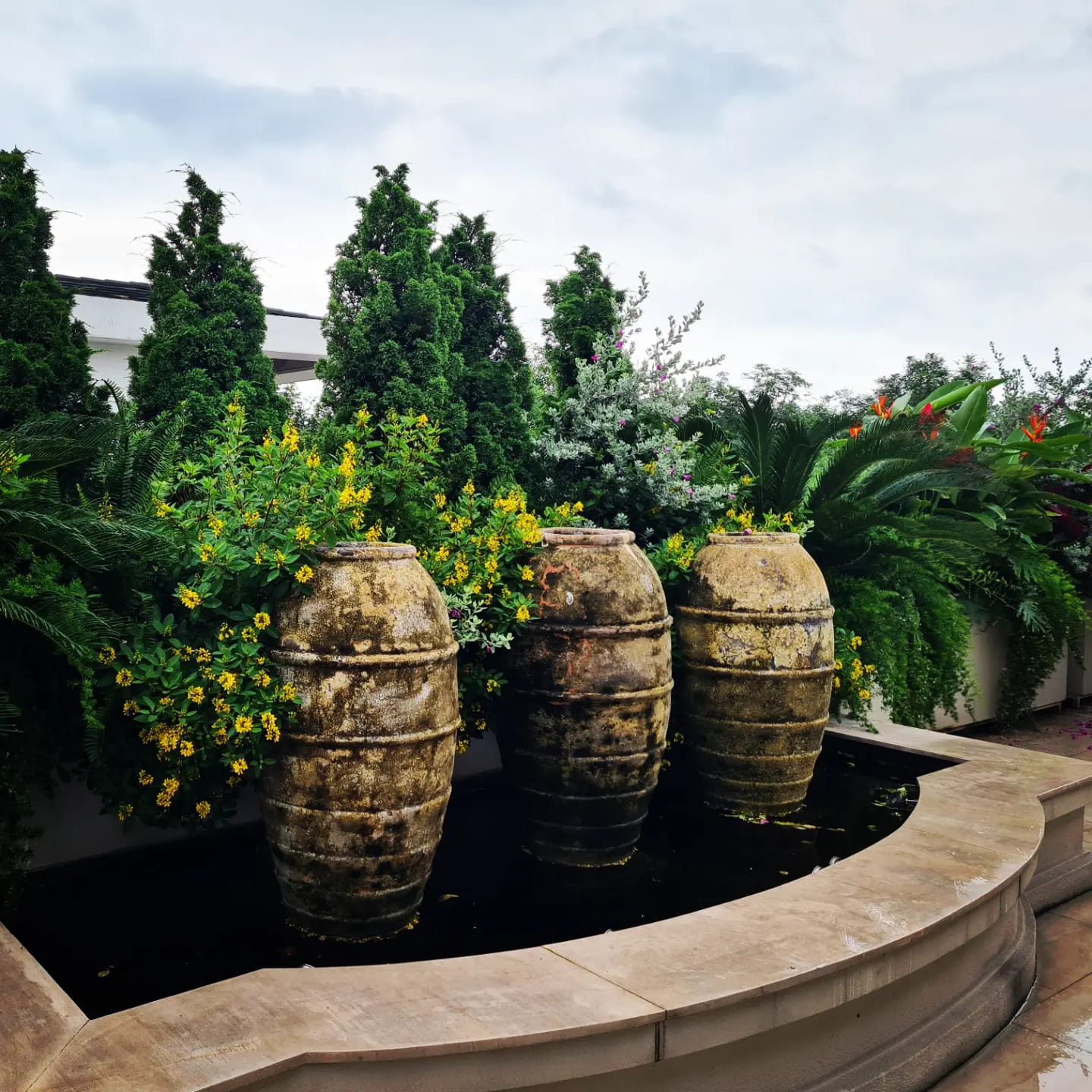 Thiết kế, thi công thác nước sân vườn