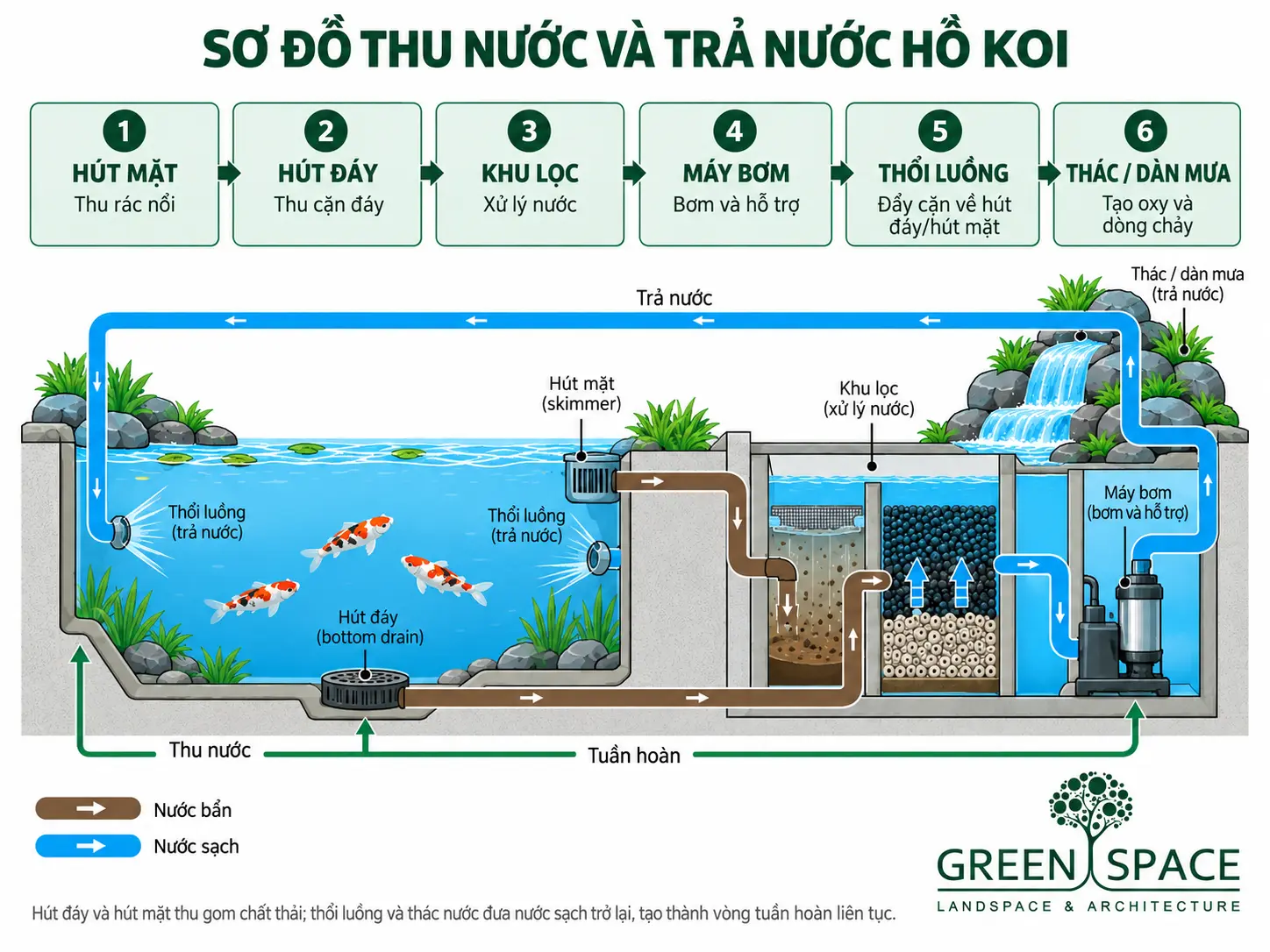 Hệ thống lọc và tuần hoàn nước cho hồ cá Koi