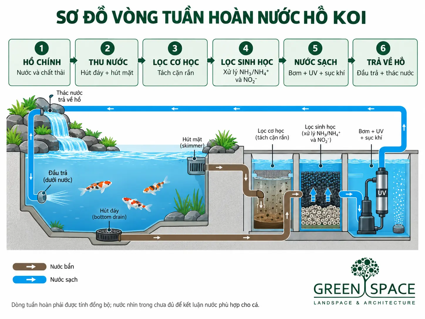 Sơ đồ vòng tuần hoàn nước trong hồ cá Koi