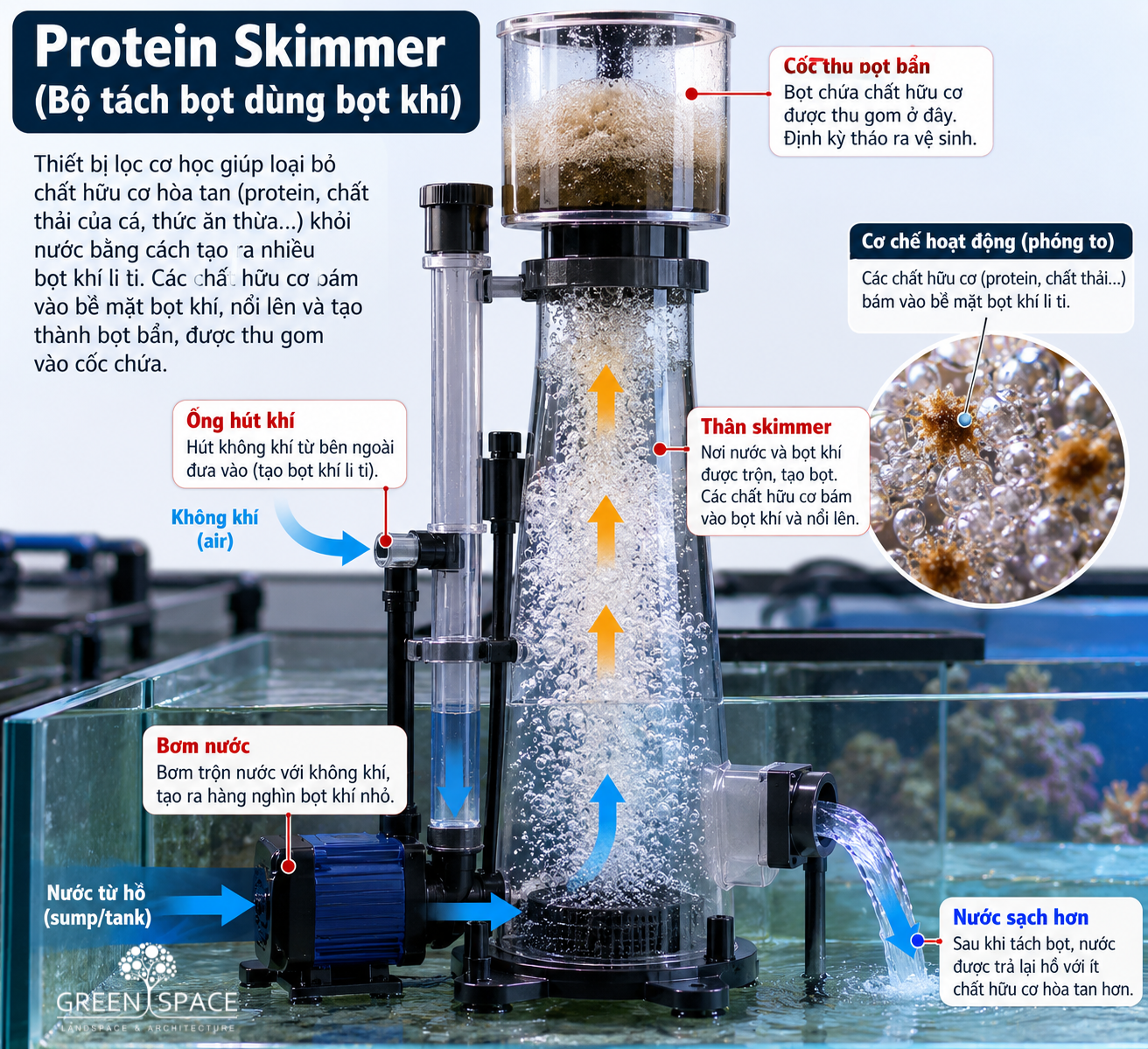 Protein skimmer loại bỏ chất bẩn và bọt trên mặt hồ