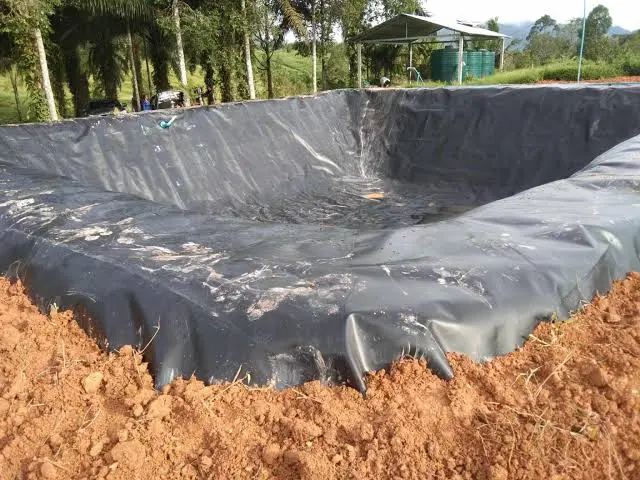 Neo mép bạt HDPE quanh hồ cá Koi