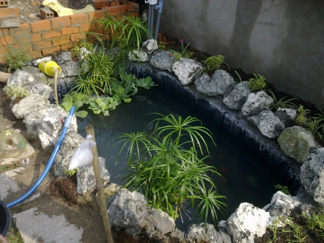Xử lý mặt bích hút đáy xuyên bạt HDPE hồ cá Koi